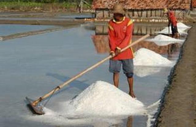 DPR Minta Pemerintah Benahi Tata Niaga Garam