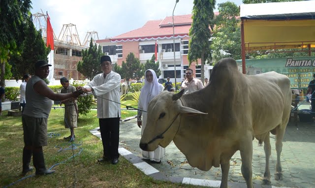 Lebaran Idul Adha 1438 H/2017,Kejati Sulteng Sembelih 5 ekor Sapi
