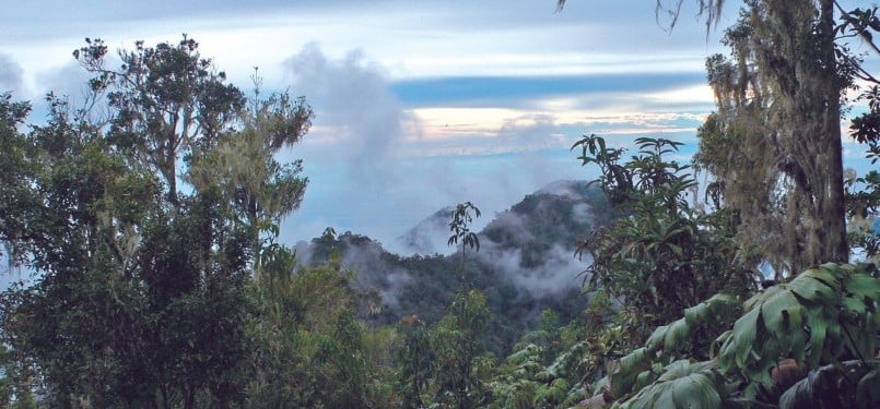 Weeken Ke Gunung Sojol di Donggala