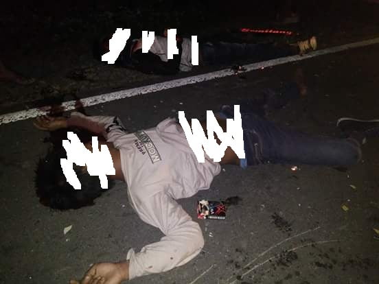 Pengendara Bison Tewas di Poros Ampana-Luwuk