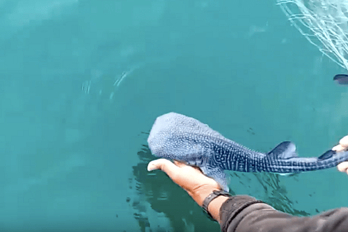 Sejumlah Personil Polres Morowali Raih Penghargaan