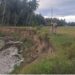 Tebing Sawah Tergerus, 40 KK Terancam Kehilangan Nafkah