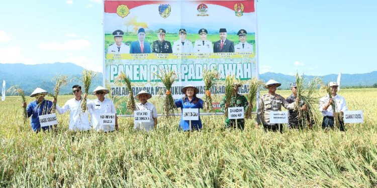 Panen Raya Sojol, Donggala Jaga Pangan