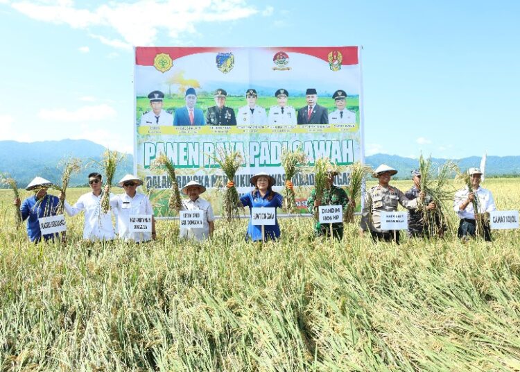 Panen Raya Sojol, Donggala Jaga Pangan