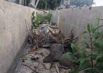 Donggala Perkuat Irigasi, Topang Ketahanan Pangan