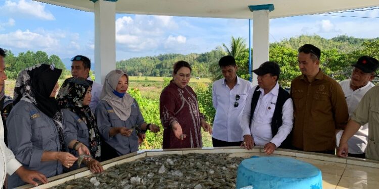 Bupati Donggala Tinjau Aset Perikanan, Dorong Penguatan Rantai Dingin