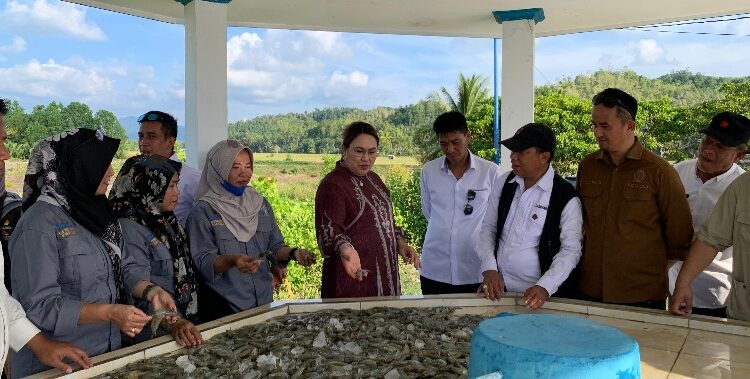Bupati Donggala Tinjau Aset Perikanan, Dorong Penguatan Rantai Dingin