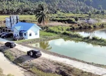 Revitalisasi Tambak Udang, Donggala Bidik Kebangkitan Sektor Budidaya