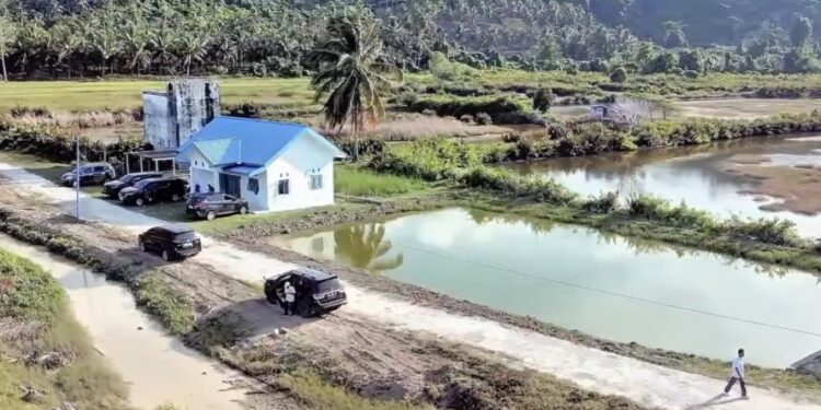 Revitalisasi Tambak Udang, Donggala Bidik Kebangkitan Sektor Budidaya