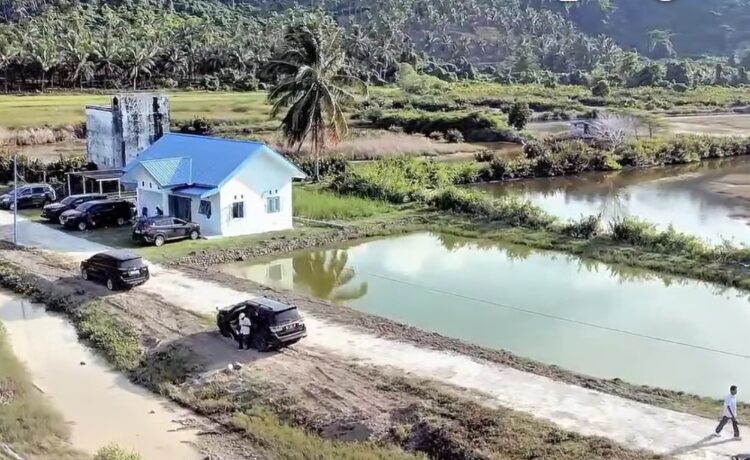Revitalisasi Tambak Udang, Donggala Bidik Kebangkitan Sektor Budidaya