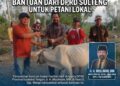 Bantuan 20 Sapi Jadi Modal Ekonomi Peternak Karawana