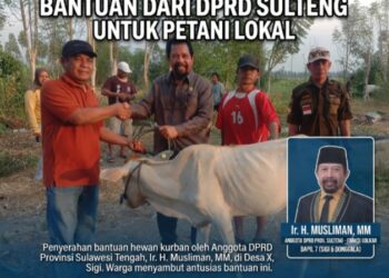 Bantuan 20 Sapi Jadi Modal Ekonomi Peternak Karawana